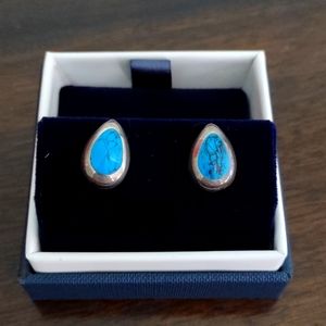 Sterling silver and turquoise earrings